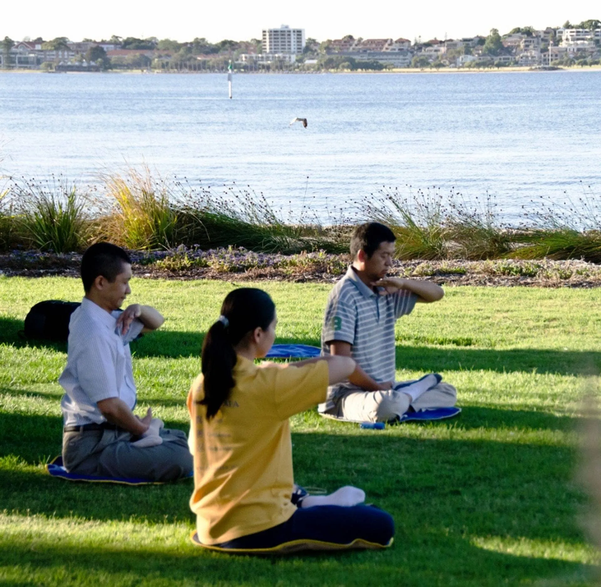 Falun Gong Meditation next to the Swan River in Perth, Western Australia.
